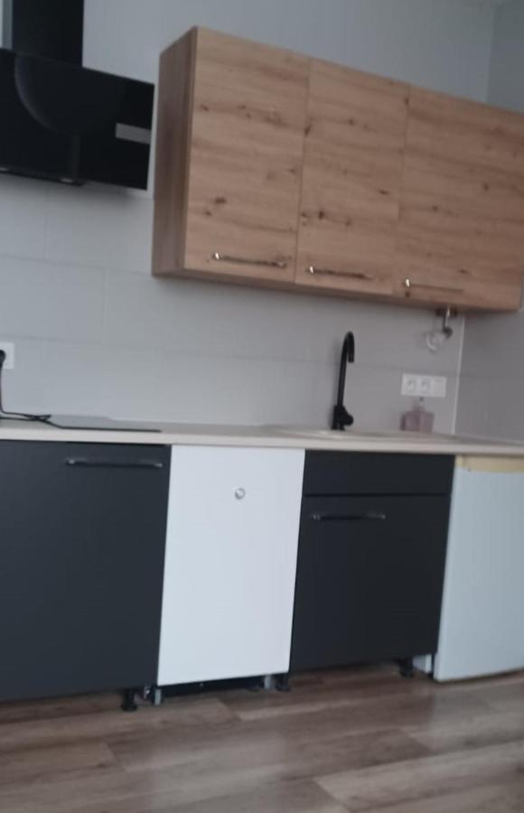 Apartamenty W Starym Kinie Сверадув-Здруй Экстерьер фото
