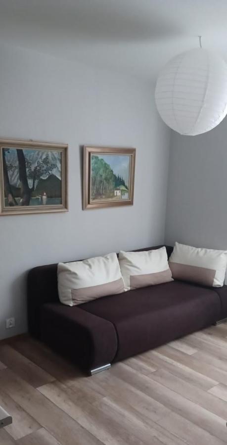 Apartamenty W Starym Kinie Сверадув-Здруй Экстерьер фото